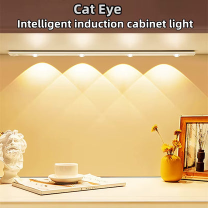 Rechargeable Intelligent Cabinet Light